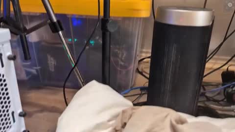 Ryan aka KeylimeRy online show from March 11, 9:02 am