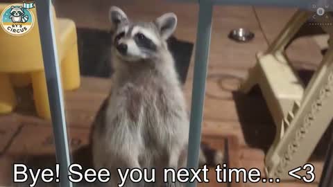 Ryan aka KeylimeRy online show from October 24, 12:52 am