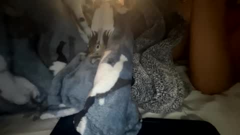 roarmance1 online show from October 30, 5:35 pm