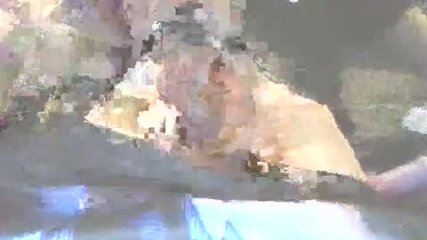 Snapshot of robertharley chatting on December 2, 11:04 am robertharley online show from December 2, 11:04 am
