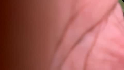 Snapshot of roberto925 chatting on January 10, 7:11 pm roberto925 online show from January 10, 7:11 pm