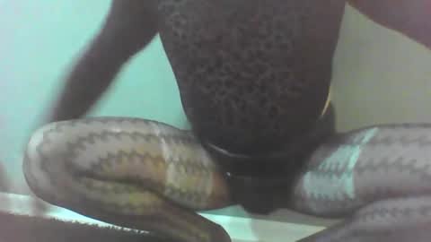 roberttocumcum online show from February 23, 12:30 am