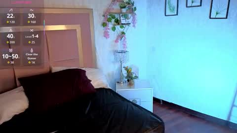 robin D online show from November 15, 11:51 am