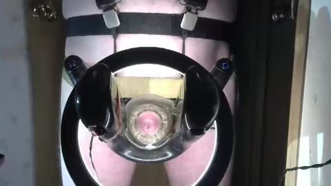 Snapshot of robodickmilker chatting on February 1, 8:18 am Robodickmilker online show from February 1, 8:18 am