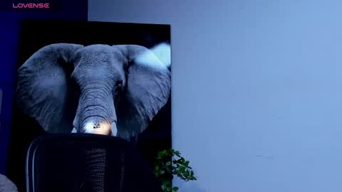 rocco_santos online show from September 23, 10:02 pm