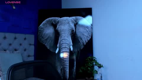 rocco_santos online show from September 28, 3:12 am