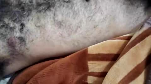 Snapshot of rockyp2025 chatting on March 3, 12:05 pm rockyp2025 online show from March 3, 12:05 pm