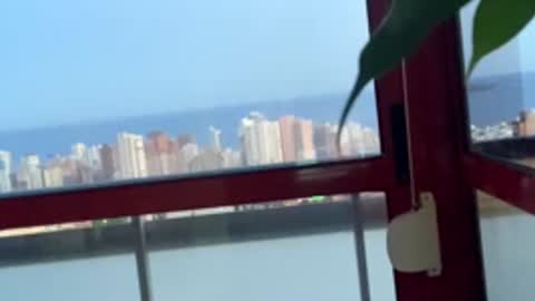 rogerbenid81 online show from April 27, 7:01 pm