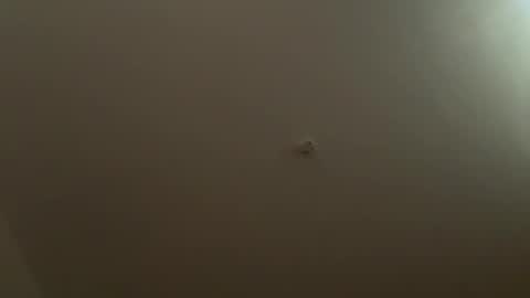 rogue1st222 online show from February 3, 6:17 pm