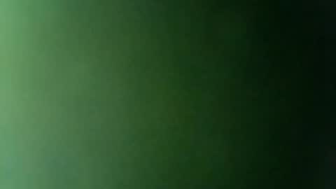 Snapshot of rojo22712 chatting on February 17, 8:36 pm Mr. Red online show from February 17, 8:36 pm