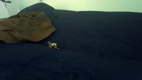 Snapshot of rojo22712 chatting on February 25, 10:19 pm Mr. Red online show from February 25, 10:19 pm