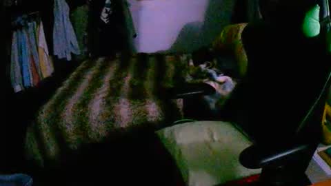 Snapshot of roketero93 chatting on December 16, 8:03 pm roktero 90 online show from December 16, 8:03 pm