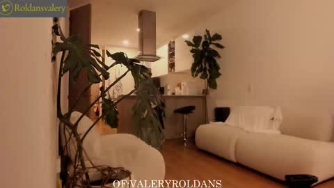 Valery Roldans online show from January 15, 2:27 am