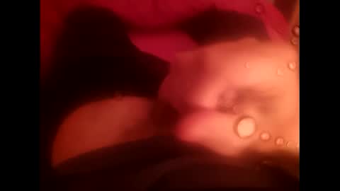 rollino83 online show from December 17, 3:29 pm