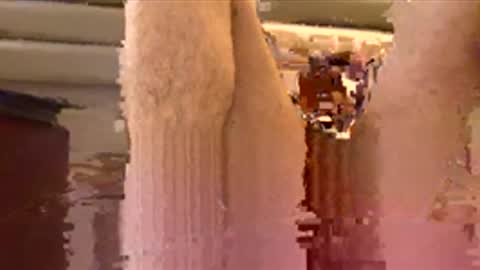 Sexyboyforlick online show from November 29, 12:02 am