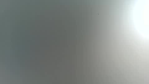 Trinked online show from November 22, 4:22 am