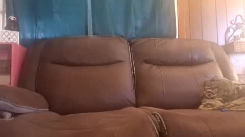 rooster14962831080 online show from December 15, 4:44 pm