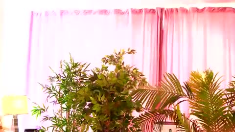 Snapshot of rosaliefleur chatting on July 27, 8:21 am Rosa online show from July 27, 8:21 am
