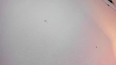 Snapshot of rosie_jhons chatting on February 2, 3:21 am rosie_jhons online show from February 2, 3:21 am