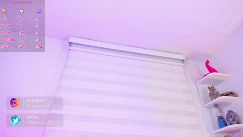   online show from January 16, 11:15 am