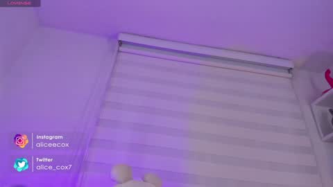   online show from January 24, 11:15 am