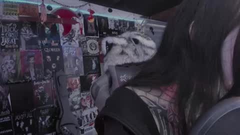 Snapshot of rotten_dreams chatting on March 1, 6:10 pm rot online show from March 1, 6:10 pm