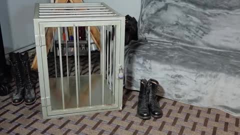 Snapshot of roughnbootz chatting on February 4, 3:11 am RoughnBootz online show from February 4, 3:11 am