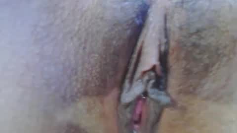 Snapshot of rousse_kitty69 chatting on December 23, 4:12 am Daniela Ferreira online show from December 23, 4:12 am