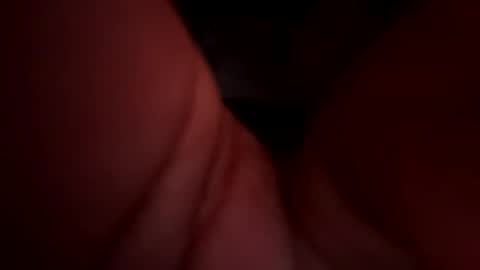 Royal SF online show from December 15, 9:24 am