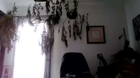 Snapshot of royboy2561 chatting on October 10, 8:08 pm Roy Murrin online show from October 10, 8:08 pm