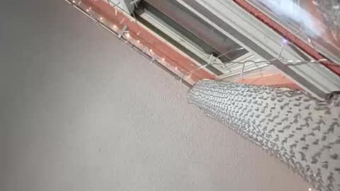 rraineonme online show from January 12, 10:09 am