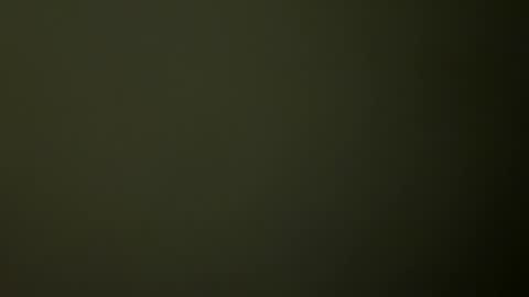 Snapshot of rsxxx130 chatting on February 19, 2:33 am ireneTxCD online show from February 19, 2:33 am