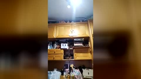 Snapshot of ruben03_slave chatting on August 1, 11:36 pm ruben03_slave online show from August 1, 11:36 pm