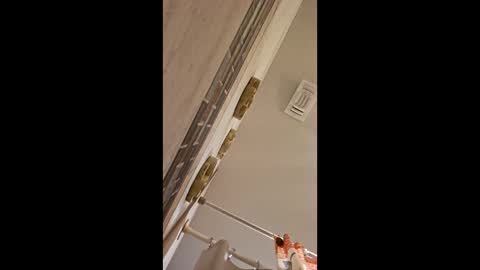rudy11448 online show from June 10, 2:01 am
