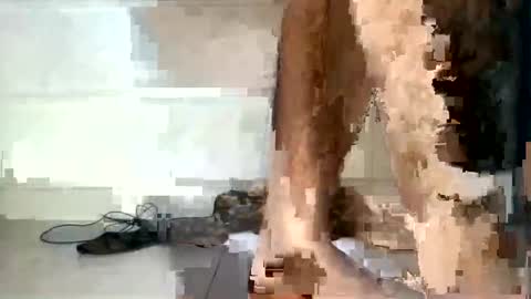 tareq online show from December 5, 6:33 pm