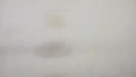 Rupali online show from February 16, 9:26 am