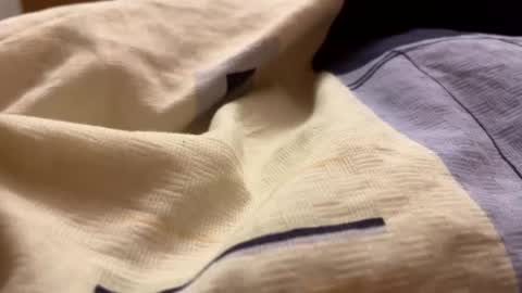 Snapshot of russsh523321 chatting on February 2, 10:17 pm Russh24 online show from February 2, 10:17 pm