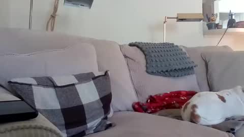 Snapshot of rustyx22 chatting on October 9, 1:09 pm Rusty online show from October 9, 1:09 pm