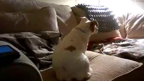 Snapshot of rustyx22 chatting on October 18, 2:25 am Rusty online show from October 18, 2:25 am