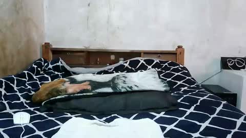 ruu_prettygal online show from April 4, 8:01 am