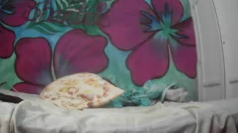 Javier online show from July 20, 12:58 am