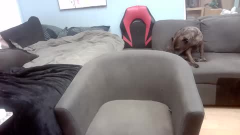 Snapshot of ryanteedaddy chatting on November 1, 10:50 am Ryan Tee online show from November 1, 10:50 am