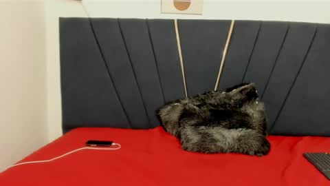 ryder_cum23 online show from November 12, 3:40 am