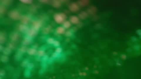 s_sofia_ online show from January 25, 1:21 am