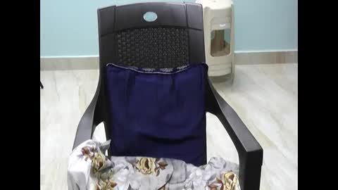 Snapshot of saanvi55995 chatting on December 7, 5:42 pm Saanvi Angel online show from December 7, 5:42 pm