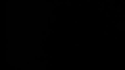 sabrina81_ online show from February 25, 10:30 pm