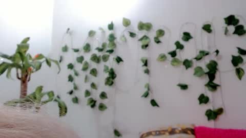 Snapshot of sabrinaexpositoxx chatting on September 25, 5:11 am SABRI online show from September 25, 5:11 am