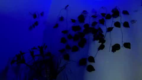 Snapshot of sabrinaexpositoxx chatting on April 1, 2:23 am SABRI online show from April 1, 2:23 am