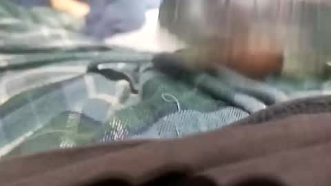 Snapshot of sagozure chatting on October 5, 1:59 am sagozure online show from October 5, 1:59 am