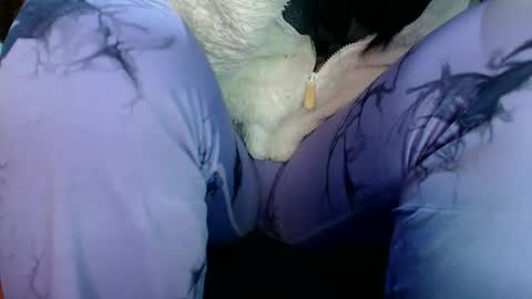 Karina online show from March 31, 12:34 am